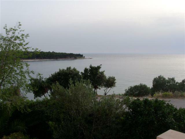 Apartments Tonka Primošten Εξωτερικό φωτογραφία